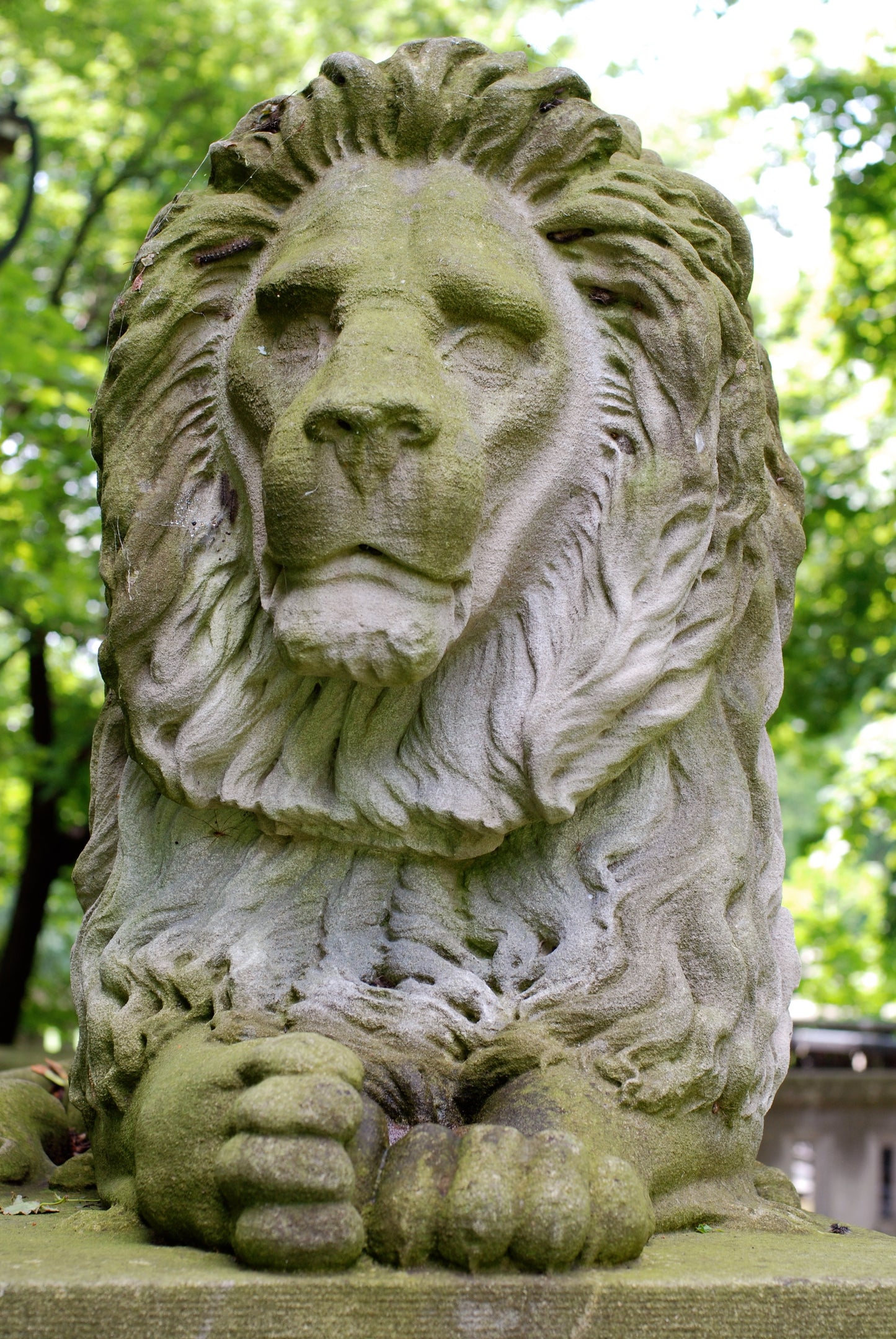 Lake Park Lion