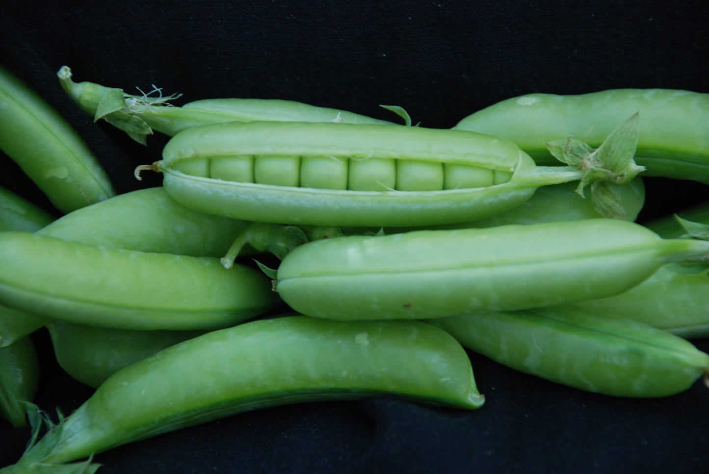 sugar snap peas