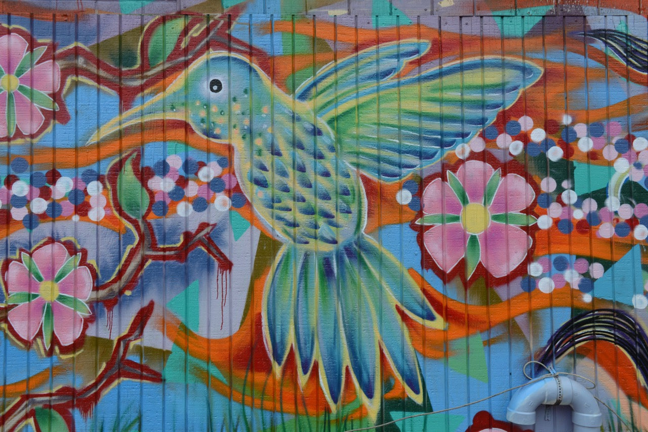 Hummingbird mural