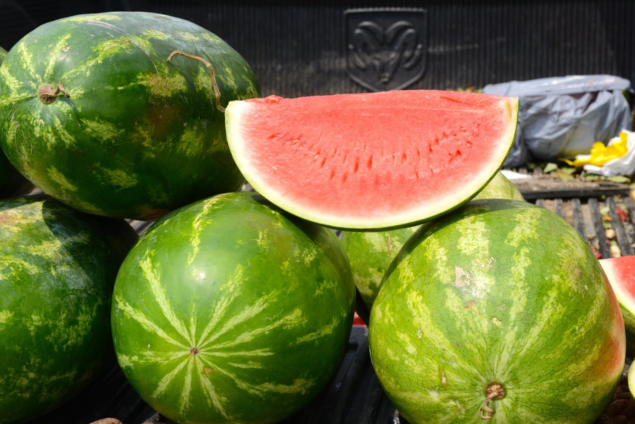 Watermelon