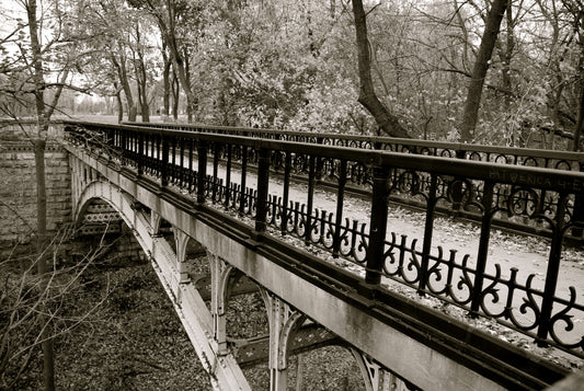 Ravine Bridge -Lake Park