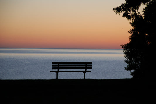 bench with a view
